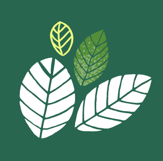 ALKEGO logo